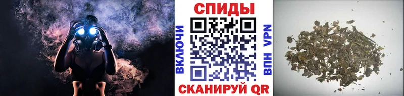 Бутират буратино  Котельники 