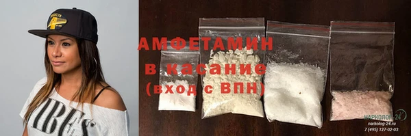 гашик Алексеевка