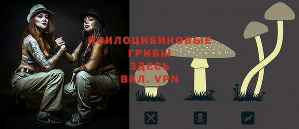 гашик Алексеевка