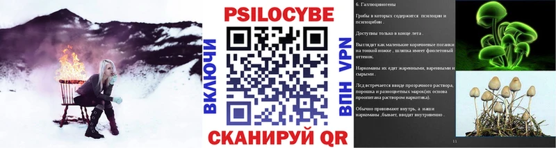 где можно купить наркотик MEGA tor Псилоцибиновые грибы MAGIC MUSHROOMS Котельники